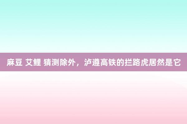 麻豆 艾鲤 猜测除外，泸遵高铁的拦路虎居然是它