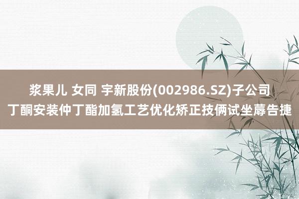 浆果儿 女同 宇新股份(002986.SZ)子公司丁酮安装仲丁酯加氢工艺优化矫正技俩试坐蓐告捷