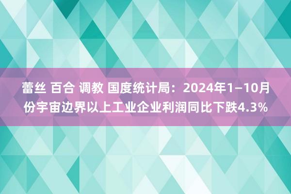 蕾丝 百合 调教 国度统计局：2024年1—10月份宇宙边界以上工业企业利润同比下跌4.3%