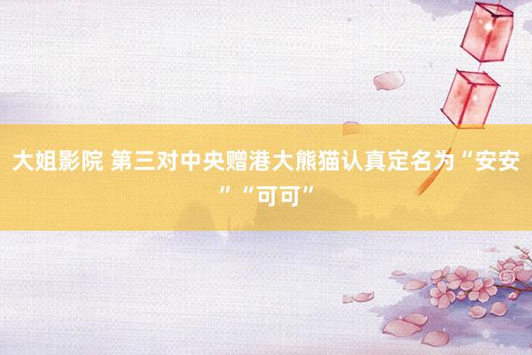 大姐影院 第三对中央赠港大熊猫认真定名为“安安”“可可”