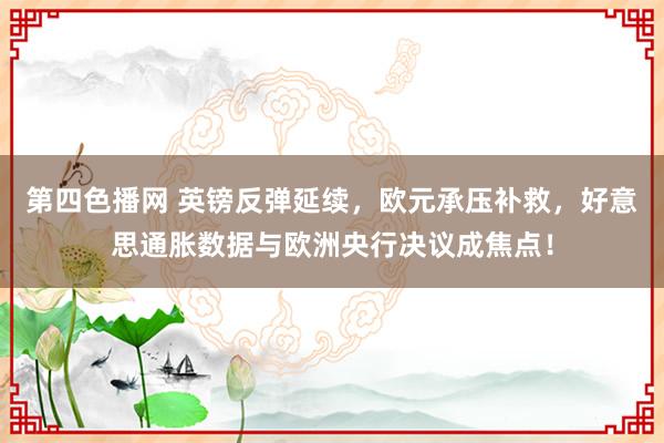 第四色播网 英镑反弹延续，欧元承压补救，好意思通胀数据与欧洲央行决议成焦点！