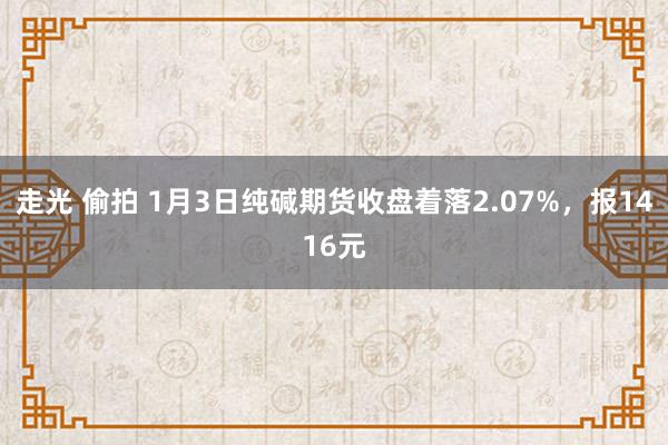 走光 偷拍 1月3日纯碱期货收盘着落2.07%，报1416元