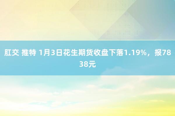 肛交 推特 1月3日花生期货收盘下落1.19%，报7838元
