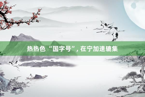 热热色 “国字号”, 在宁加速辘集