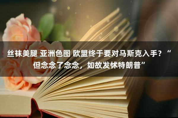 丝袜美腿 亚洲色图 欧盟终于要对马斯克入手？“但念念了念念，如故发怵特朗普”
