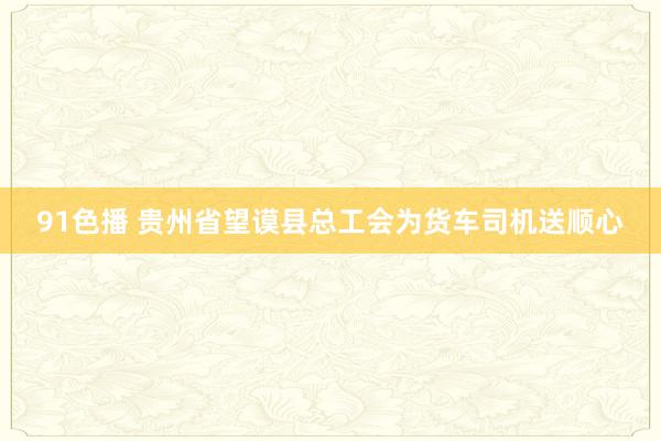 91色播 贵州省望谟县总工会为货车司机送顺心