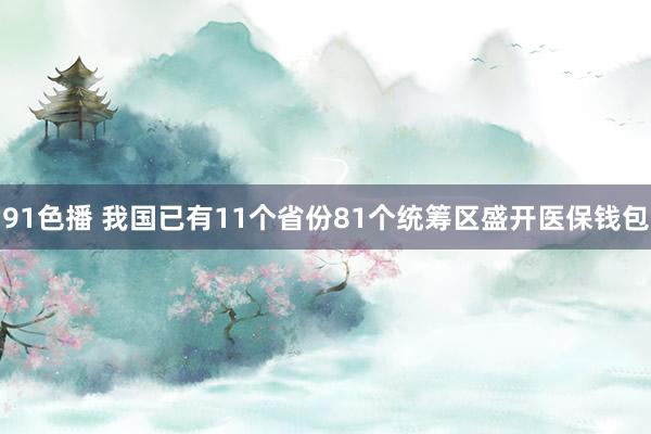 91色播 我国已有11个省份81个统筹区盛开医保钱包