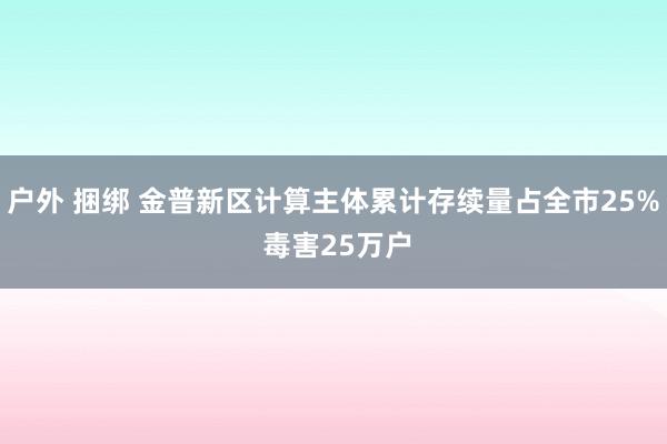 户外 捆绑 金普新区计算主体累计存续量占全市25% 毒害25万户