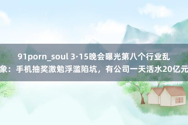 91porn_soul 3·15晚会曝光第八个行业乱象：手机抽奖激勉浮滥陷坑，有公司一天活水20亿元