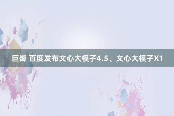 巨臀 百度发布文心大模子4.5、文心大模子X1