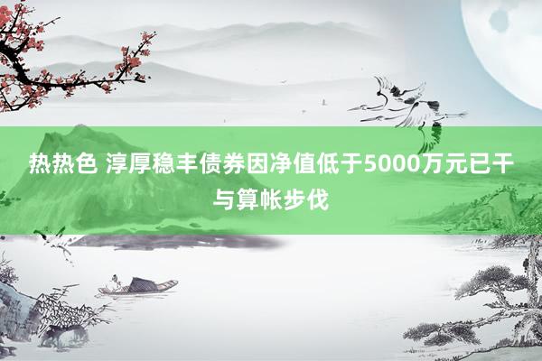 热热色 淳厚稳丰债券因净值低于5000万元已干与算帐步伐