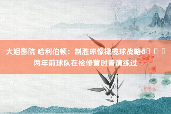 大姐影院 哈利伯顿：制胜球像橄榄球战略🏈两年前球队在检修营时曾演练过