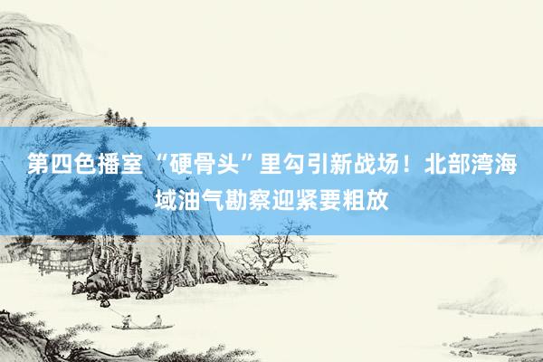 第四色播室 “硬骨头”里勾引新战场！北部湾海域油气勘察迎紧要粗放