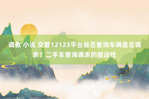 调教 小说 交管12123平台能否查询车辆是否调表？二手车查询调表的蹙迫性