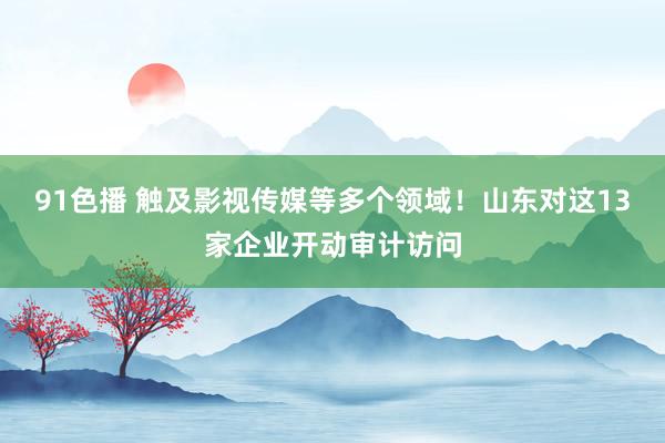 91色播 触及影视传媒等多个领域！山东对这13家企业开动审计访问