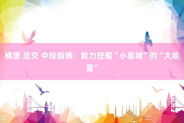 楠里 足交 中经指摘：致力挖掘“小县域”的“大能量”