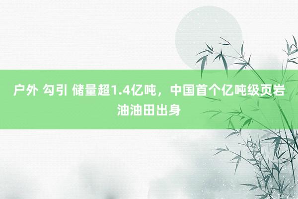 户外 勾引 储量超1.4亿吨，中国首个亿吨级页岩油油田出身