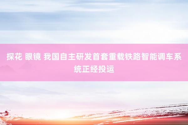 探花 眼镜 我国自主研发首套重载铁路智能调车系统正经投运