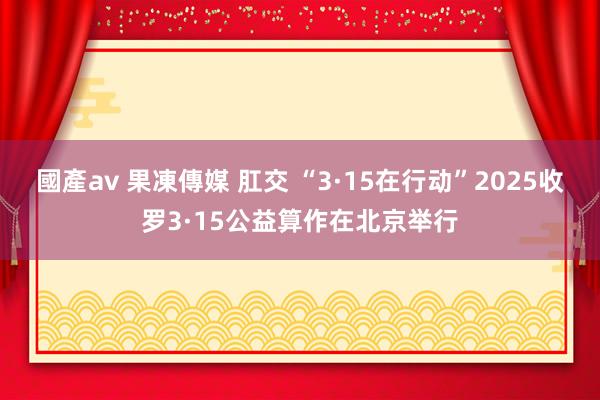 國產av 果凍傳媒 肛交 “3·15在行动”2025收罗3·15公益算作在北京举行