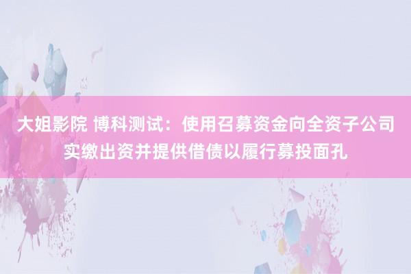 大姐影院 博科测试：使用召募资金向全资子公司实缴出资并提供借债以履行募投面孔