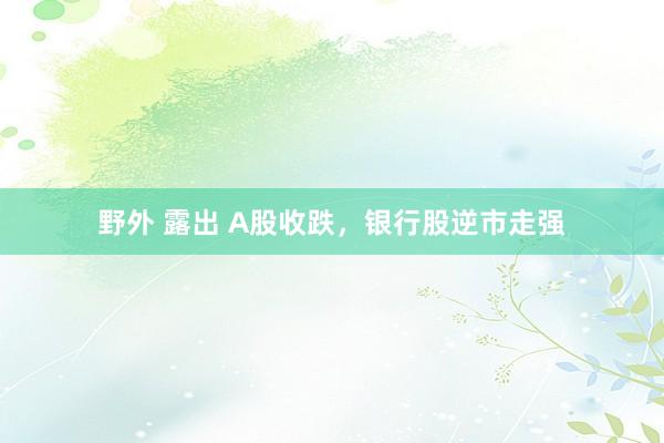 野外 露出 A股收跌，银行股逆市走强