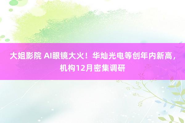 大姐影院 AI眼镜大火！华灿光电等创年内新高，机构12月密集调研