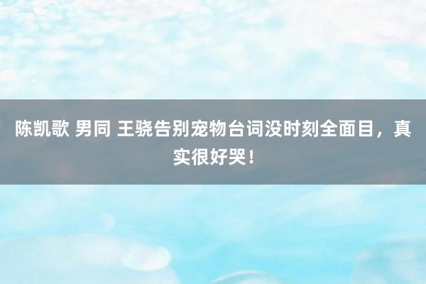 陈凯歌 男同 王骁告别宠物台词没时刻全面目，真实很好哭！