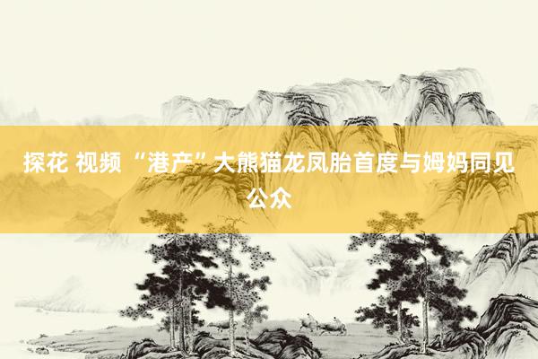 探花 视频 “港产”大熊猫龙凤胎首度与姆妈同见公众