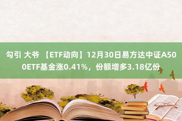 勾引 大爷 【ETF动向】12月30日易方达中证A500ETF基金涨0.41%，份额增多3.18亿份
