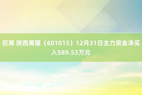 巨屌 陕西黑猫（601015）12月31日主力资金净买入589.53万元