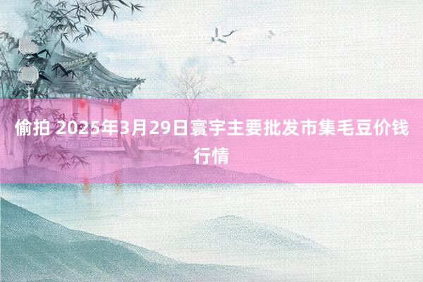 偷拍 2025年3月29日寰宇主要批发市集毛豆价钱行情