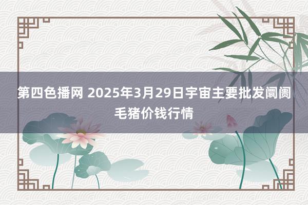 第四色播网 2025年3月29日宇宙主要批发阛阓毛猪价钱行情