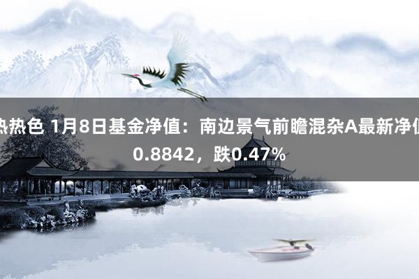 热热色 1月8日基金净值：南边景气前瞻混杂A最新净值0.8842，跌0.47%