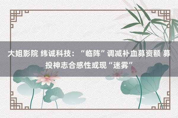 大姐影院 纬诚科技：“临阵”调减补血募资额 募投神志合感性或现“迷雾”