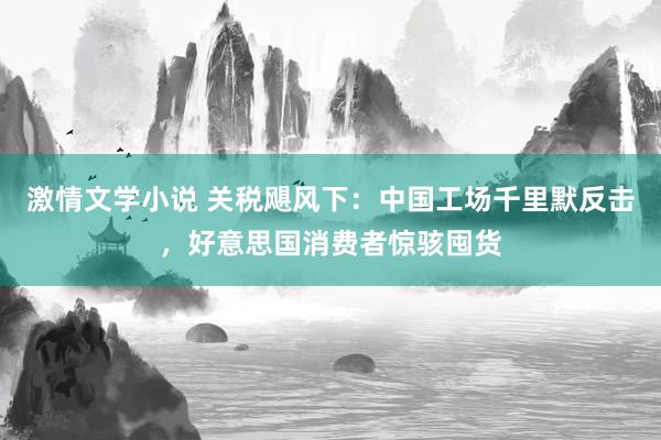激情文学小说 关税飓风下：中国工场千里默反击，好意思国消费者惊骇囤货