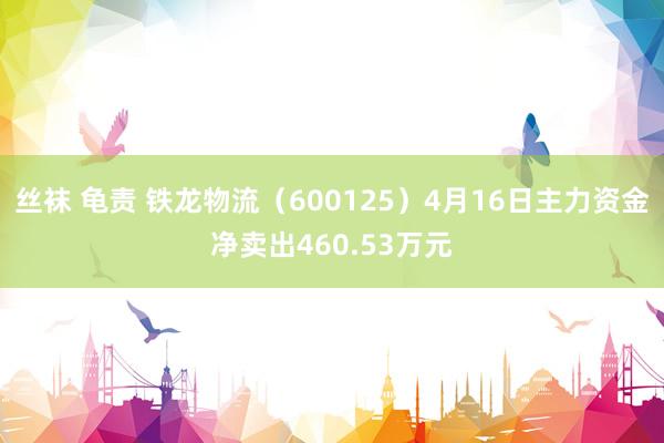丝袜 龟责 铁龙物流（600125）4月16日主力资金净卖出460.53万元