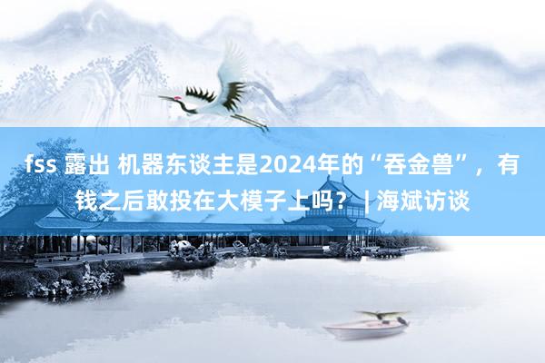 fss 露出 机器东谈主是2024年的“吞金兽”，有钱之后敢投在大模子上吗？ | 海斌访谈