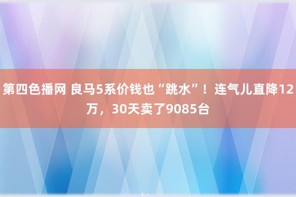 第四色播网 良马5系价钱也“跳水”！连气儿直降12万，30天卖了9085台