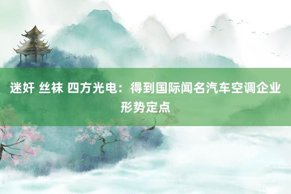 迷奸 丝袜 四方光电：得到国际闻名汽车空调企业形势定点