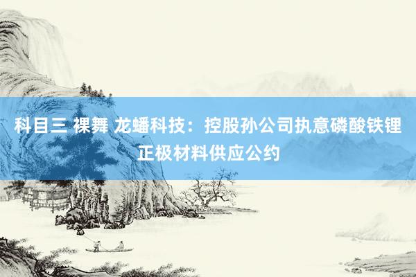 科目三 裸舞 龙蟠科技：控股孙公司执意磷酸铁锂正极材料供应公约