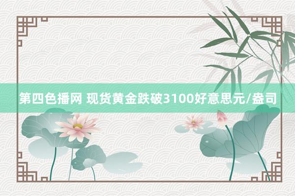 第四色播网 现货黄金跌破3100好意思元/盎司