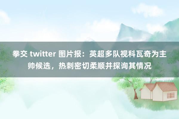 拳交 twitter 图片报：英超多队视科瓦奇为主帅候选，热刺密切柔顺并探询其情况