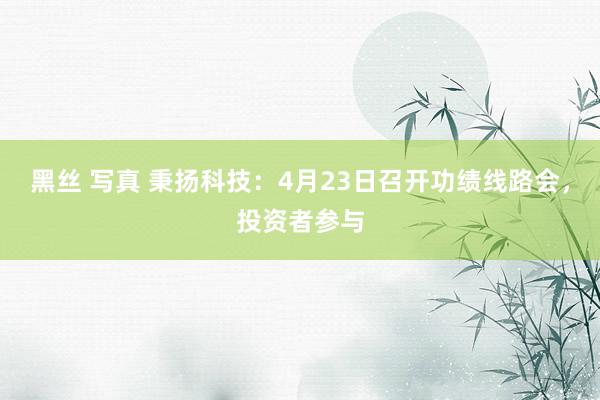 黑丝 写真 秉扬科技：4月23日召开功绩线路会，投资者参与