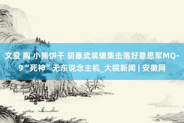 文爱 胸 小熊饼干 胡塞武装辘集击落好意思军MQ-9“死神”无东说念主机_大皖新闻 | 安徽网