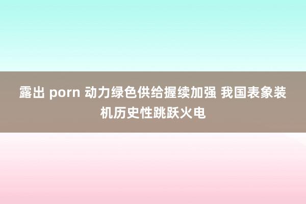 露出 porn 动力绿色供给握续加强 我国表象装机历史性跳跃火电