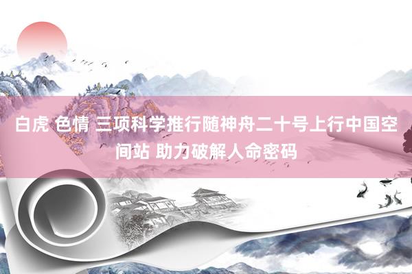 白虎 色情 三项科学推行随神舟二十号上行中国空间站 助力破解人命密码
